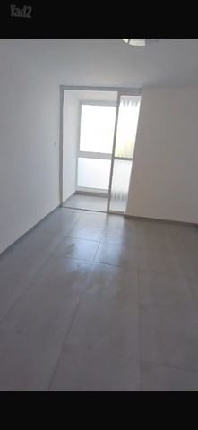 אילנות 11