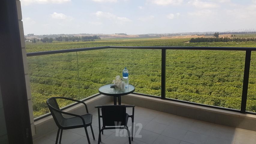 חייקה גרוסמן 4