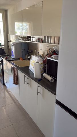 איילת השחר 5