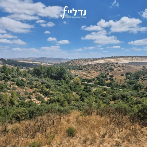 ריש לקיש 22