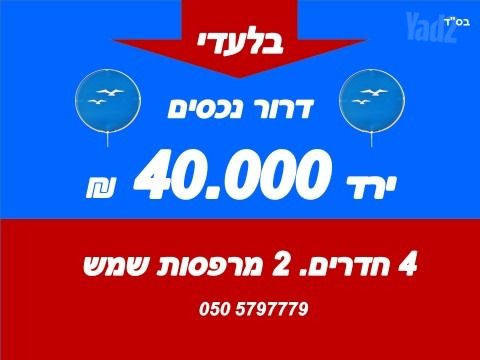 דוד וולפסון 33