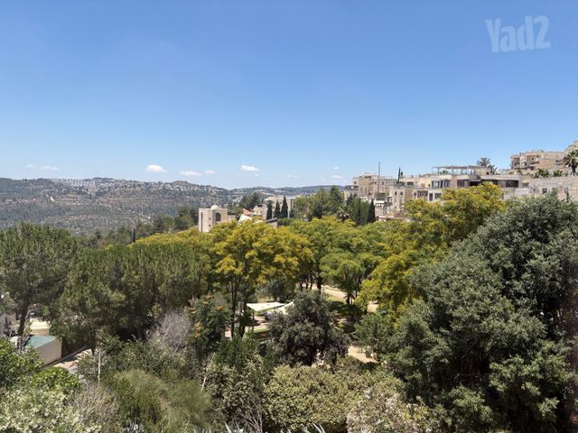 הרב ש. שאולזון 