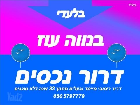 דוד אבידן 6