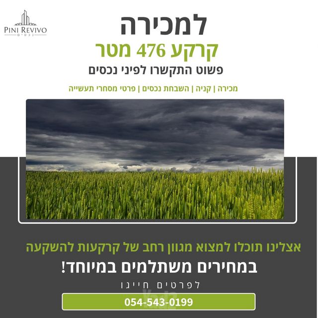 מגרשים