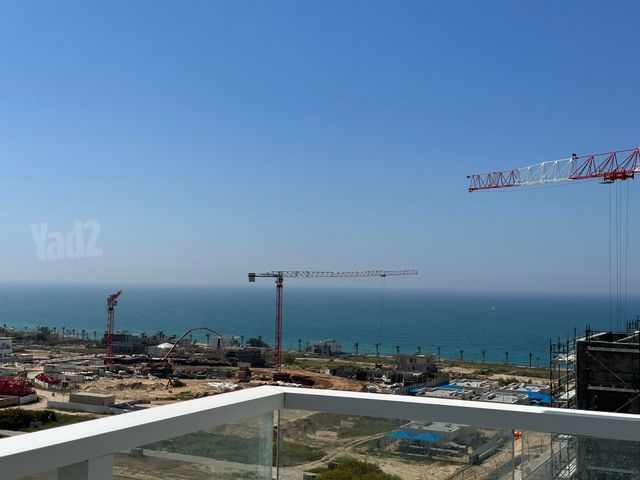 עיר ימים / הבלוט