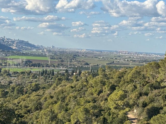 מגרשים