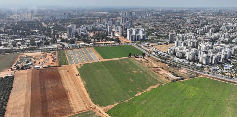 דרך חיים הרצוג 