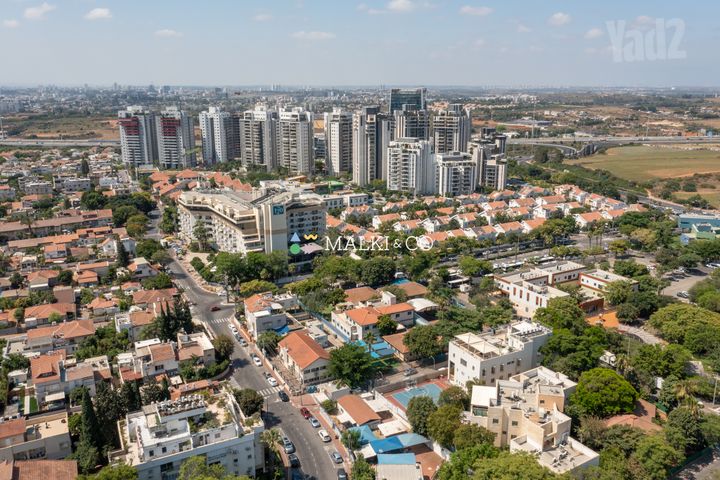 דוד ילין 