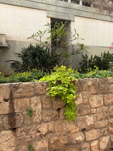 בית פרטי/ קוטג'