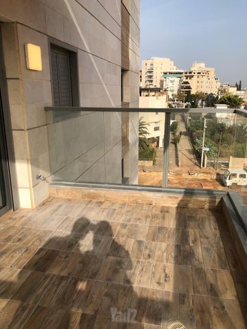 החשמונאים 