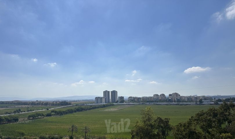 מנשה 20