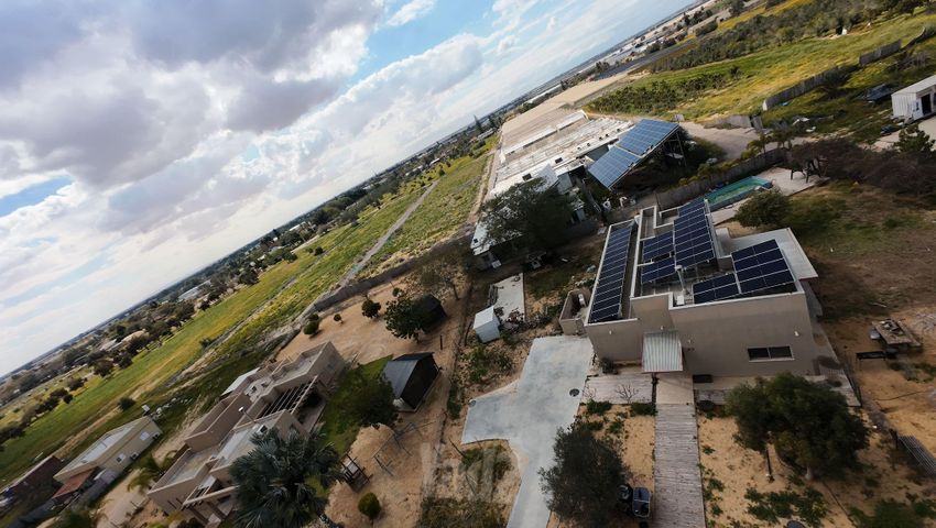 זית 50