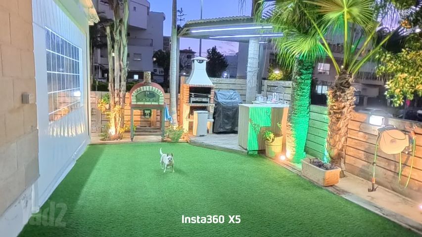 צאלה 7