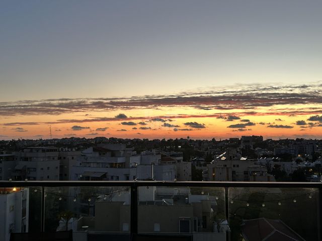 ברנדייס 13