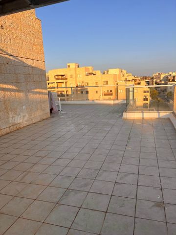 חיים גרינפלד 15
