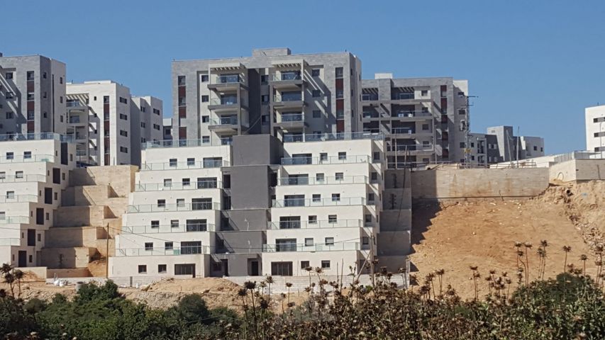 שוהם 46