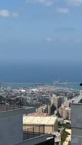 עמירם חרלף 4