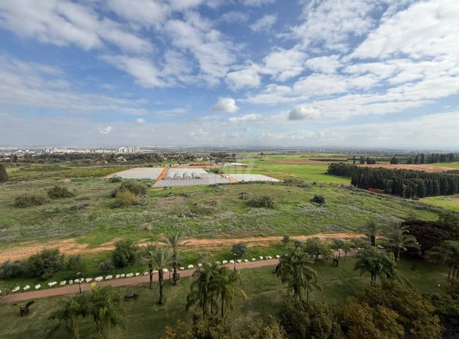 הכרמל 