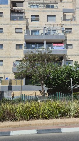 קטיף 8