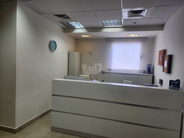 רוטשילד 