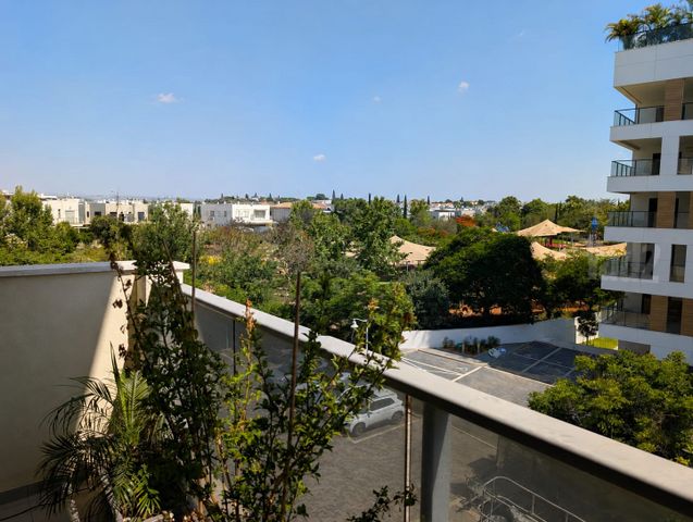 שושנת העמקים 41