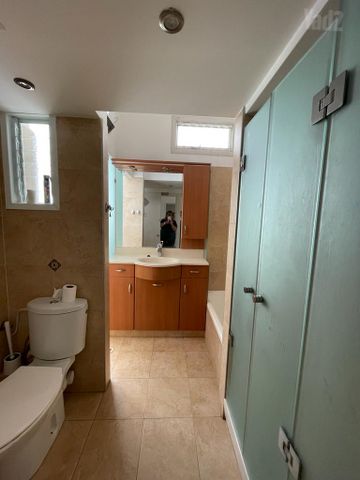 אריה שנקר 28