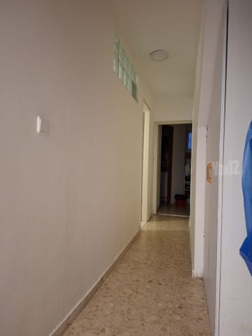 כלנית 20