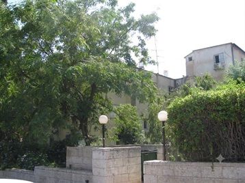 א.ד. גורדון 2