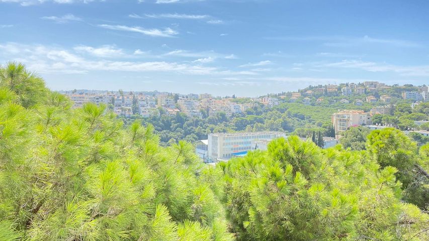 שדרות ודג'ווד 26