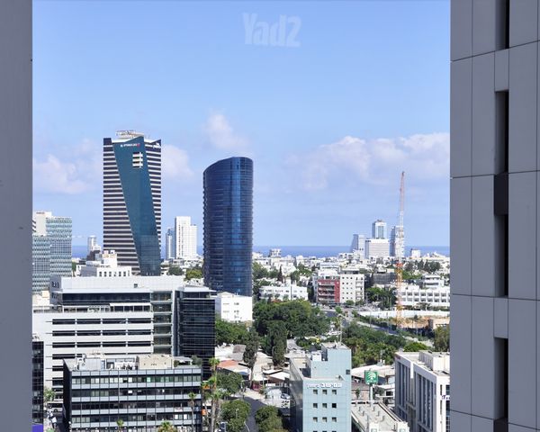 וינגייט 