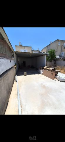 מוהליבר 6