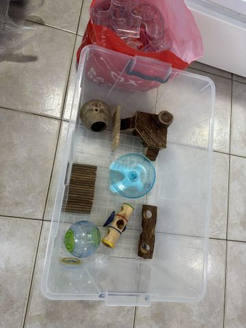תמונת מודעה - חיות מחמד