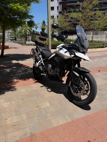 מודעת רכב טריומף Tiger 900