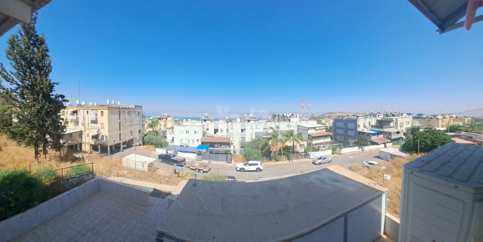 דוד אלעזר 12