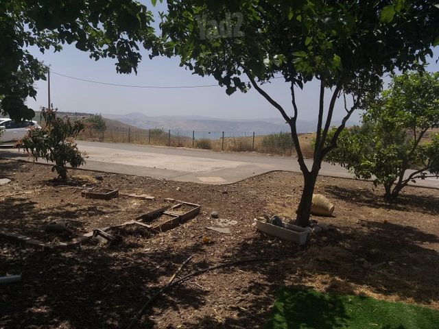 אפיק 1