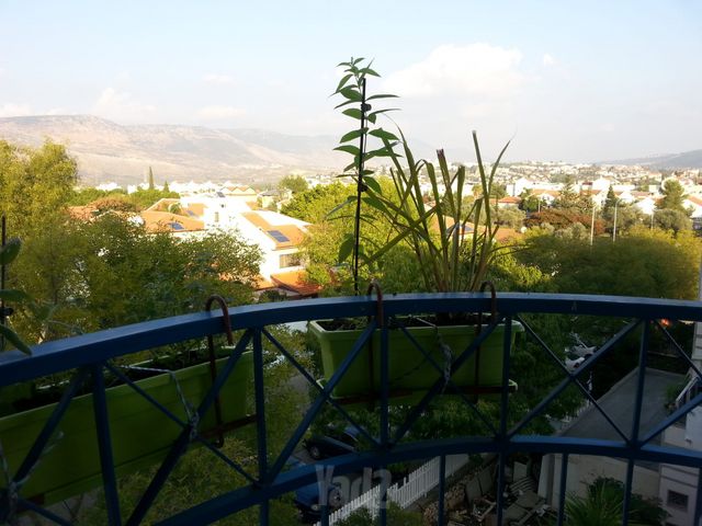 קטיף 34