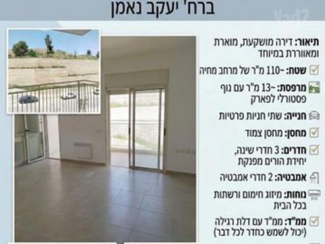 פרופסור יעקב נאמן 1