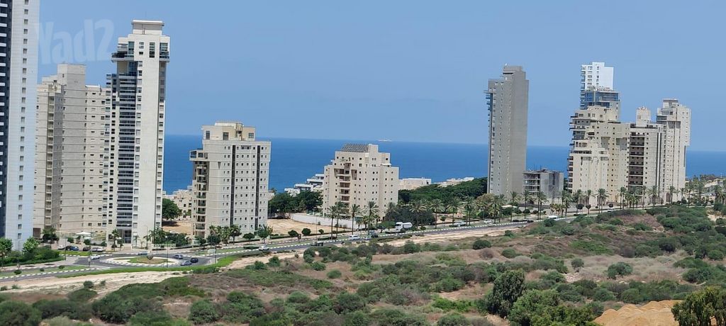 ארצי שרמן 2