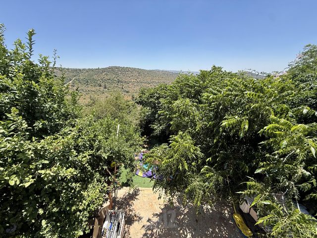 כרכום 40