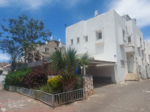 בארי 31