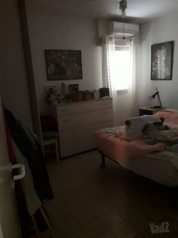 הרב מיימון 13