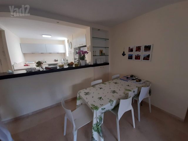 דב גרונר 1