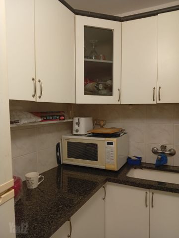 מיכאל חזני 6
