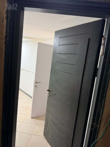 דוד וולפסון 29