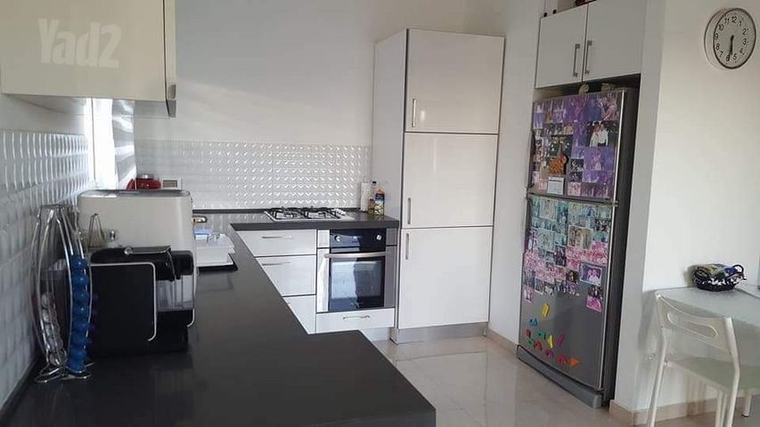 הזית 554