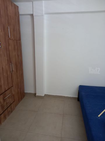 שלמה המלך 12