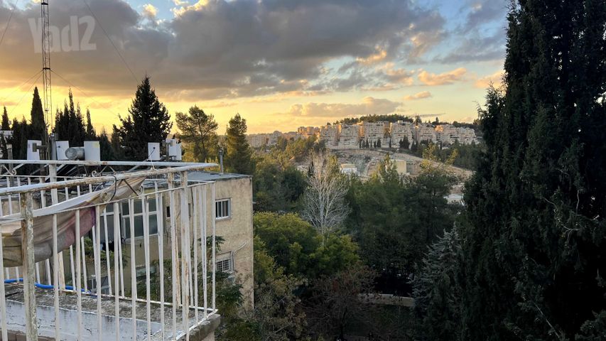 הארזים 10