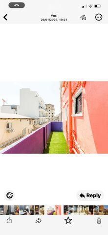 סטודיו/ לופט להשכרה בתל אביב יפו — 3