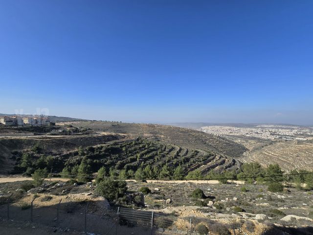 נווה דניאל