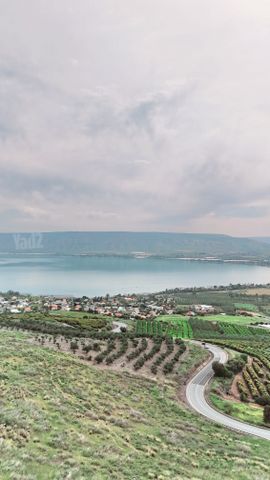 מגרשים